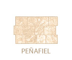 penafiel-paindesco-pavimentos-y-revestimientos